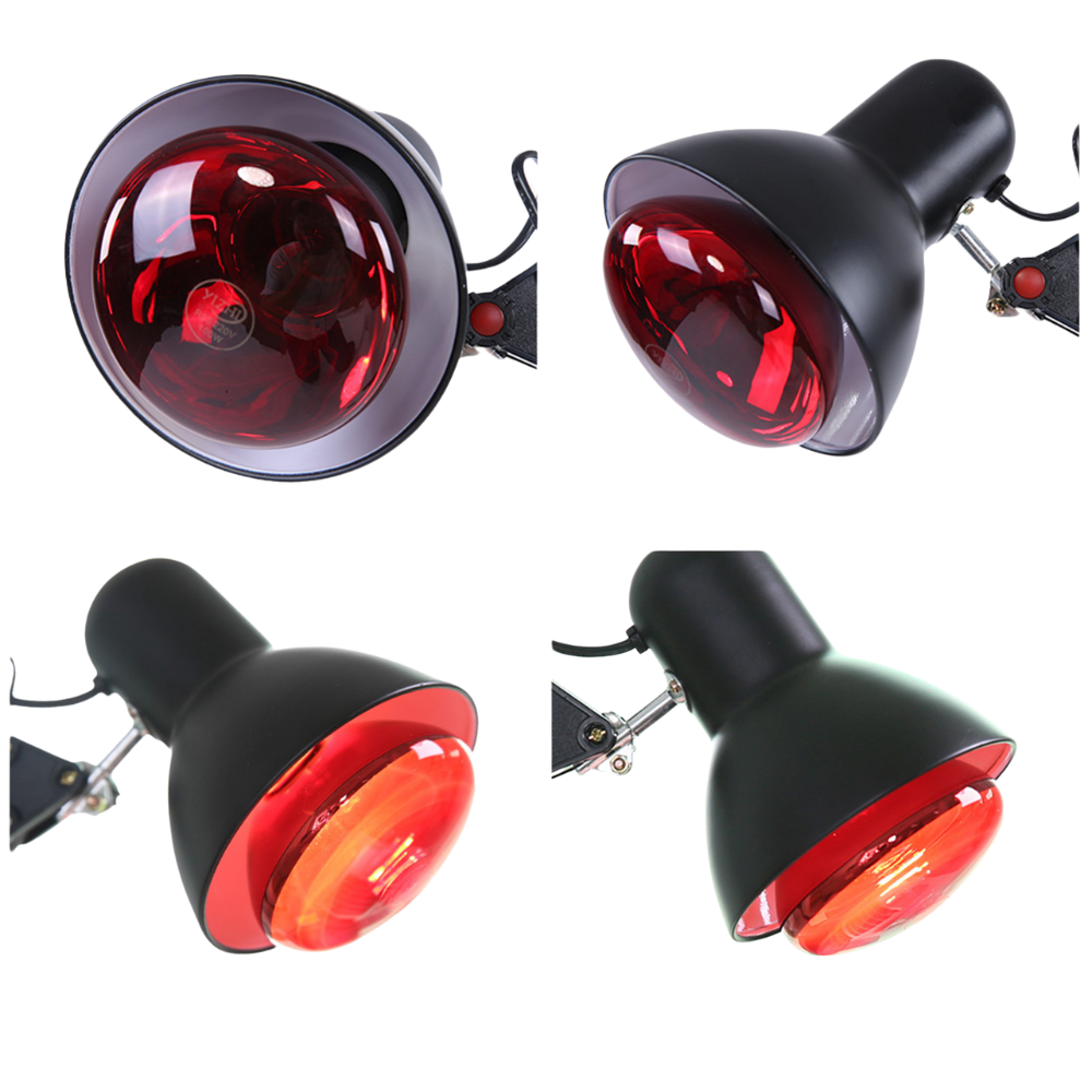 Lampe luminothérapie physiothérapie ampoule
